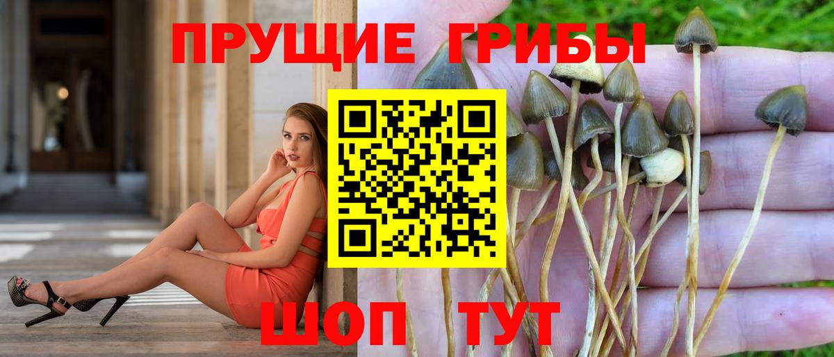 Псилоцибиновые грибы MAGIC MUSHROOMS  цены   Назарово  Вход с VPN 